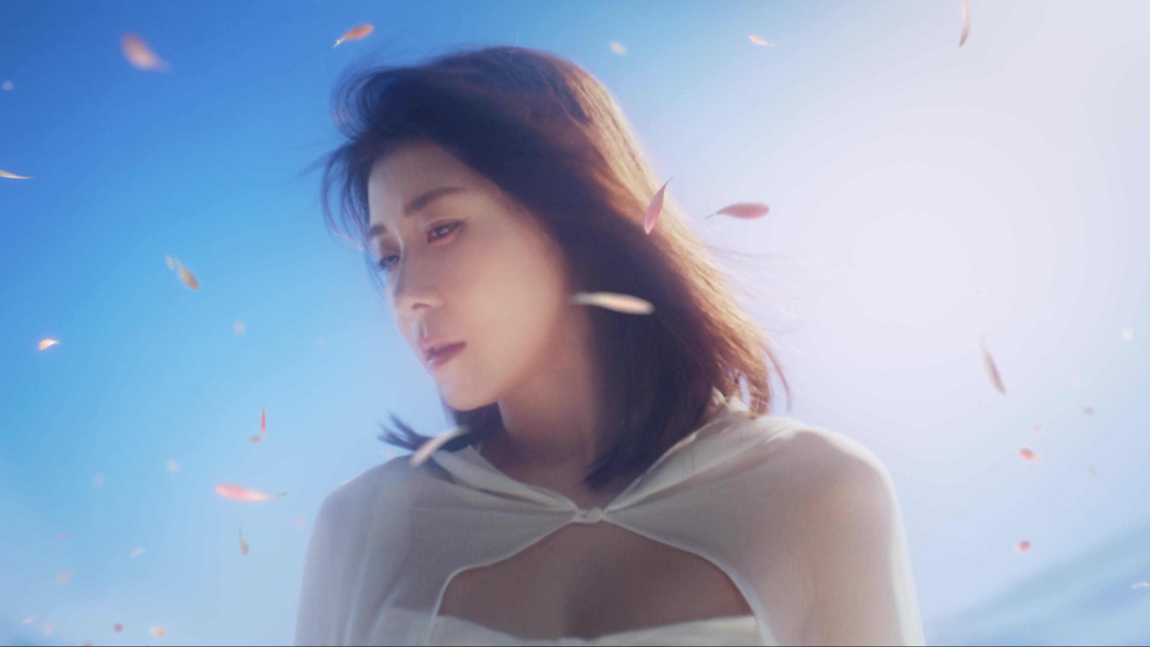 coolfase皇后電波