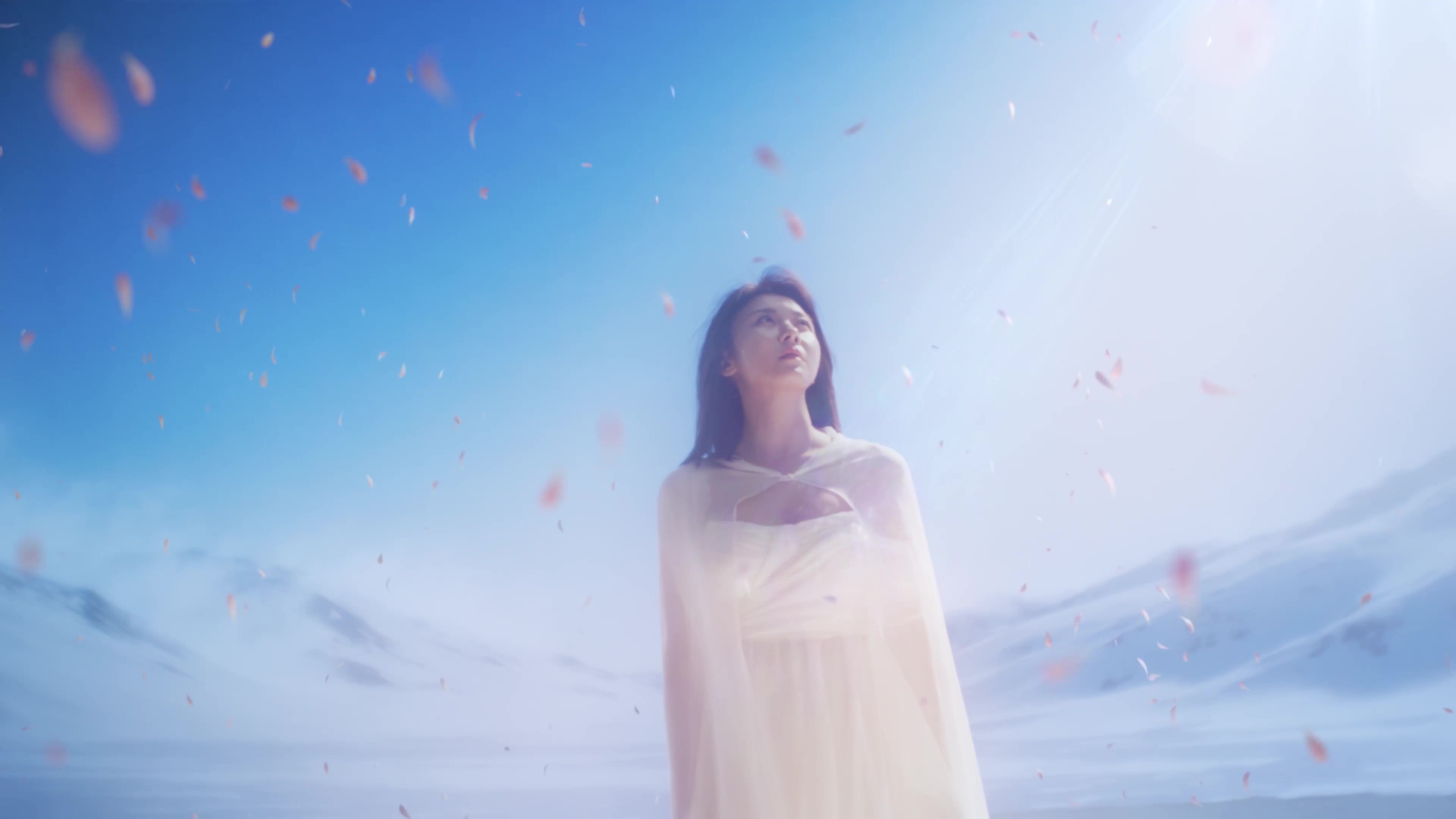 coolfase皇后電波